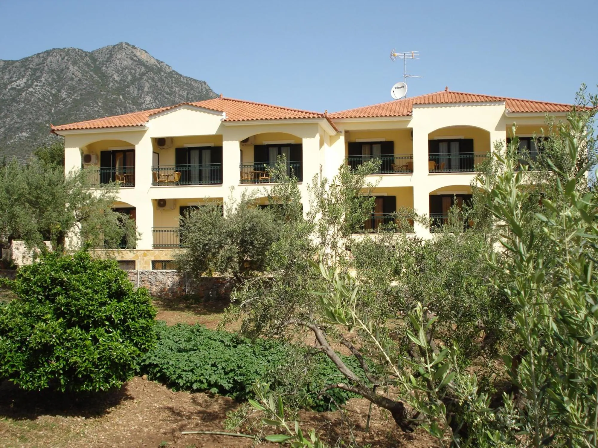 Το κτίριο μέσα στις ελιές και τα πεύκα